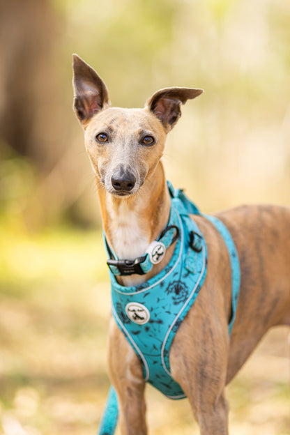 Adjustable Comfort Harness - DANDELION