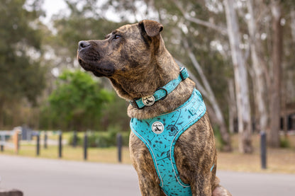 Adjustable Comfort Harness - DANDELION