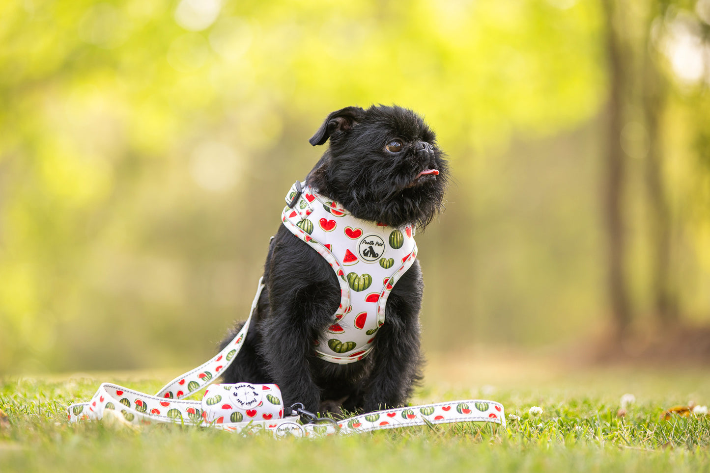 Poop Bag Dispenser: WATERMELON