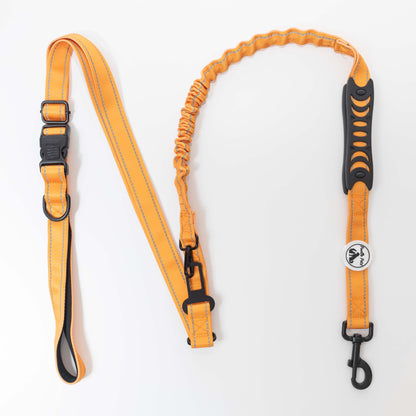 Multi-Functional Dog Leash for Ultimate Convenience by Pookie Pets