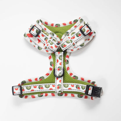 Adjustable Comfort Harness - WATERMELON