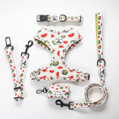 Adjustable Comfort Harness - WATERMELON