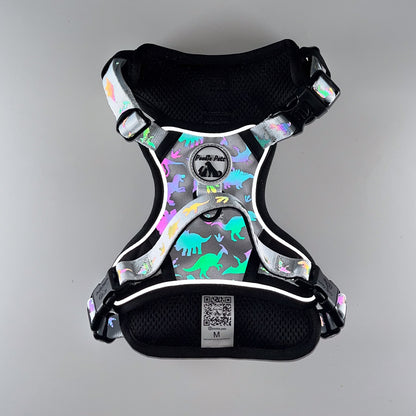 Reflective Comfort Explorer Harness with Dinosaur Theme by Pookie Pets